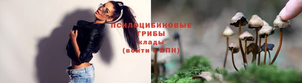 гашик Алзамай