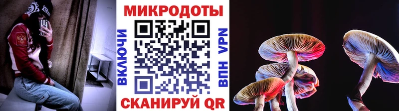 Галлюциногенные грибы мицелий наркотики Омск
