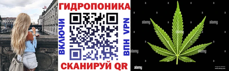 Шишки марихуана тримм  магазин продажи   Омск 